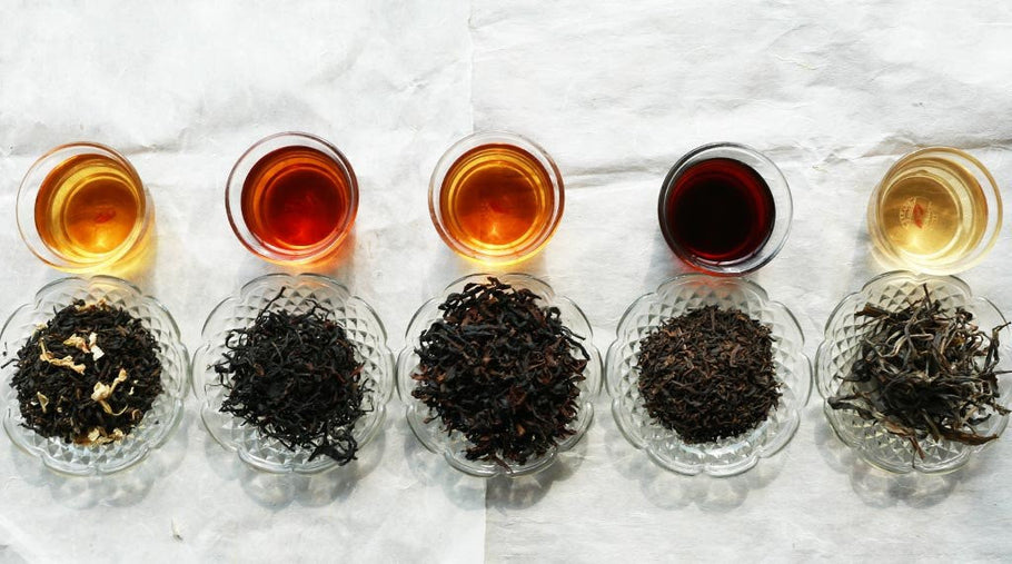 The Different Types of Tea